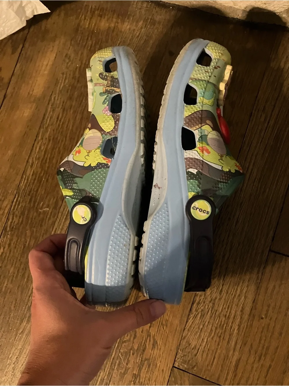 Bluey-Themed Kids Slip-On Crocs